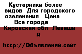 Кустарники более 100 видов. Для городского озеленения › Цена ­ 70 - Все города  »    . Кировская обл.,Леваши д.